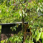 Shambhala Centrum Camping Lucka