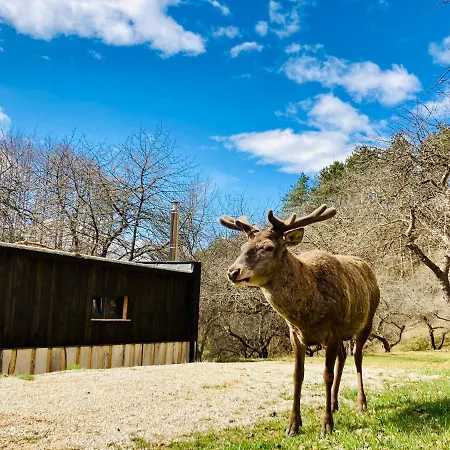 Campsite Shambhala Centrum *