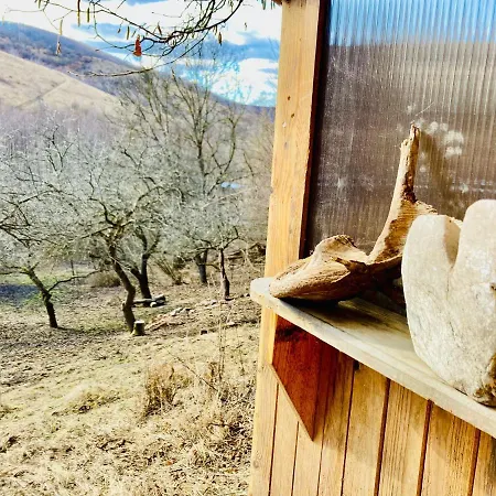 Shambhala Centrum Campsite