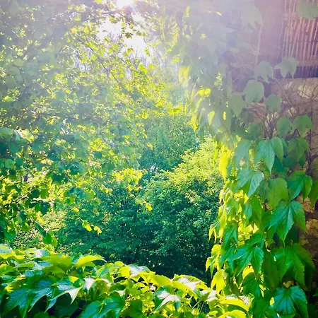 Shambhala Centrum * Lucka