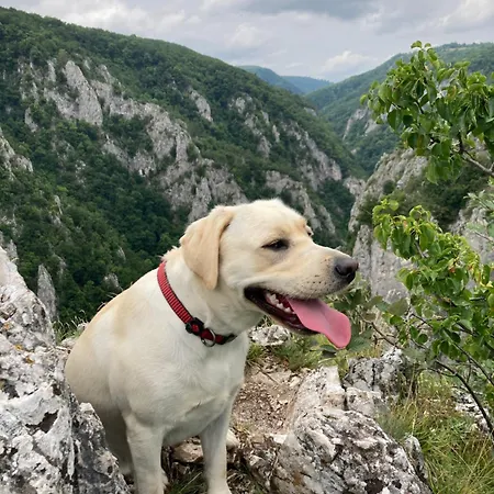 Shambhala Centrum Кемпинг Lucka