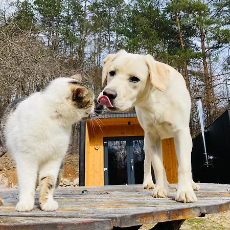 Shambhala Centrum Campsite