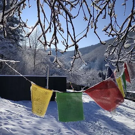 Shambhala Centrum Campsite