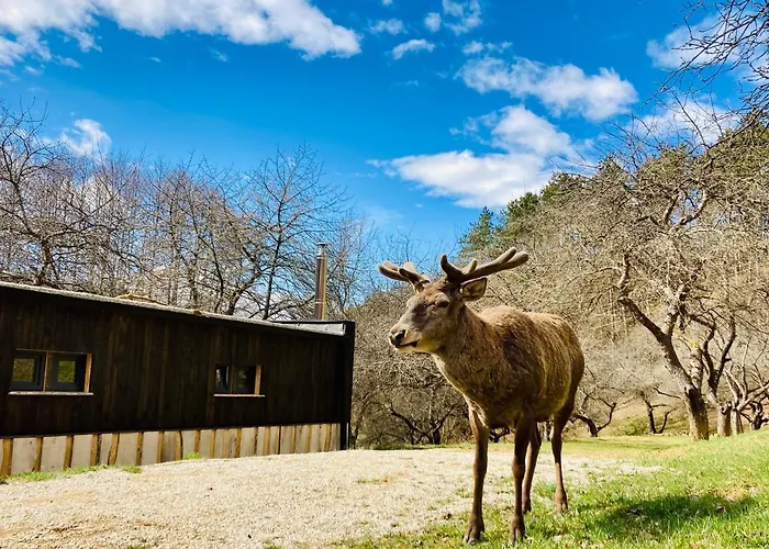 营地 Shambhala Centrum *