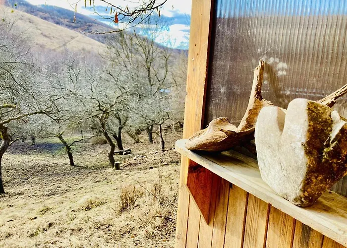 Shambhala Centrum Campingplads