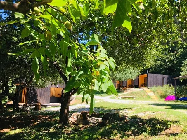 Shambhala Centrum 营地