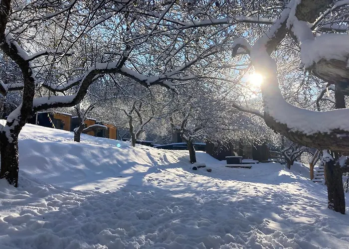 Shambhala Centrum * Lucka