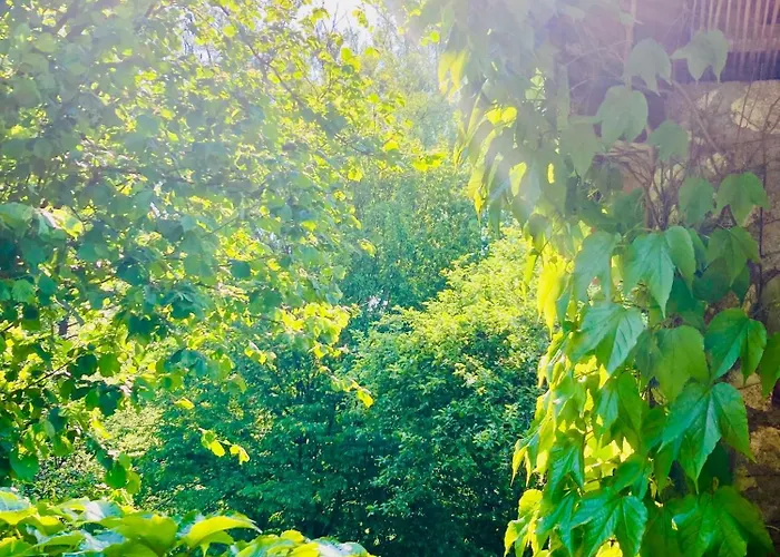 Shambhala Centrum * Lucka