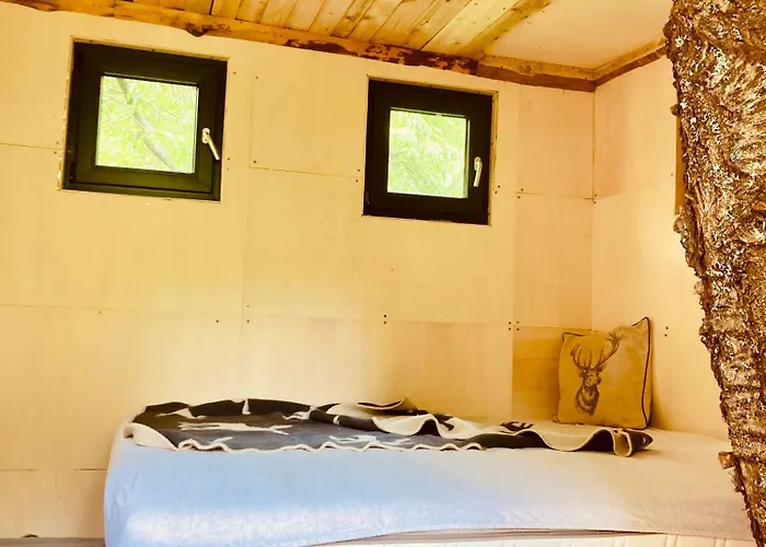 Shambhala Centrum 营地 Lucka