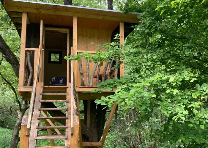 营地 Shambhala Centrum