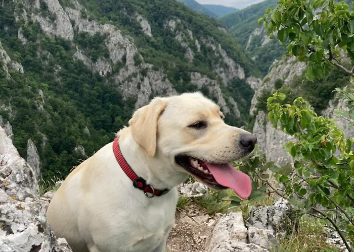 Shambhala Centrum 营地 Lucka