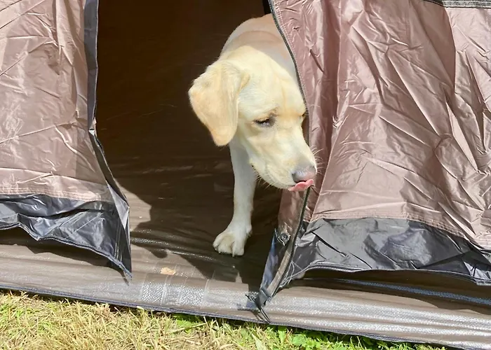 营地 Shambhala Centrum Lucka