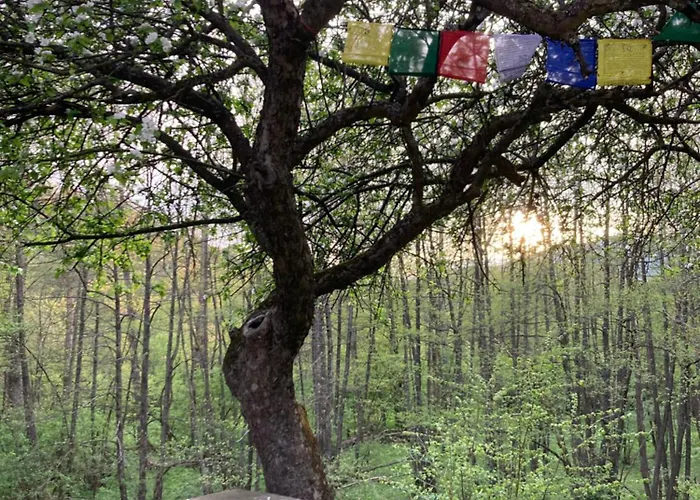 Shambhala Centrum * Lucka