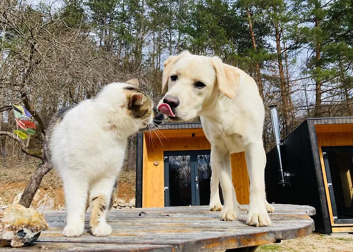 Shambhala Centrum 营地