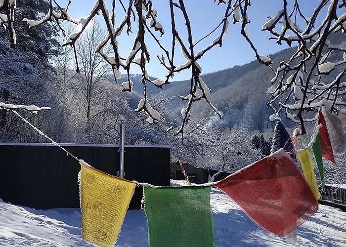 Shambhala Centrum 营地